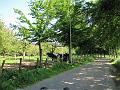 6de Halfoogsttreffen organisatie de Gebroeders Stulens (64)